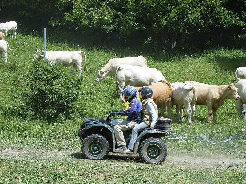 5  un quad passe aux Verneys.JPG